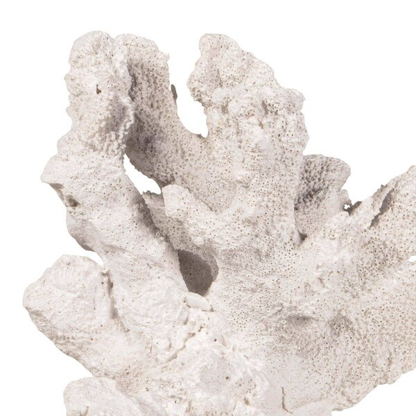 Coral Accessory